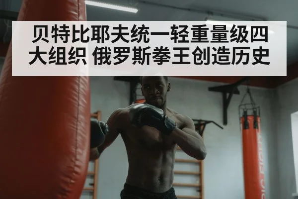 boxer with heavy bag